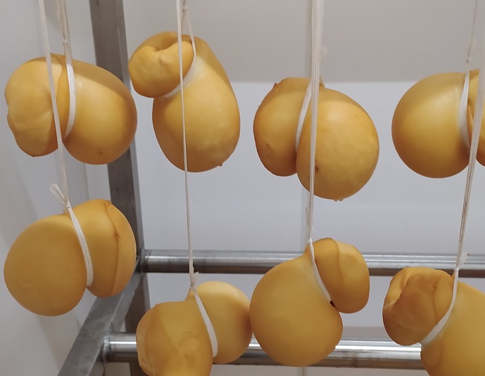 Scamorza, scamorzone, scamorzine, ciambella, silani, schiacciate