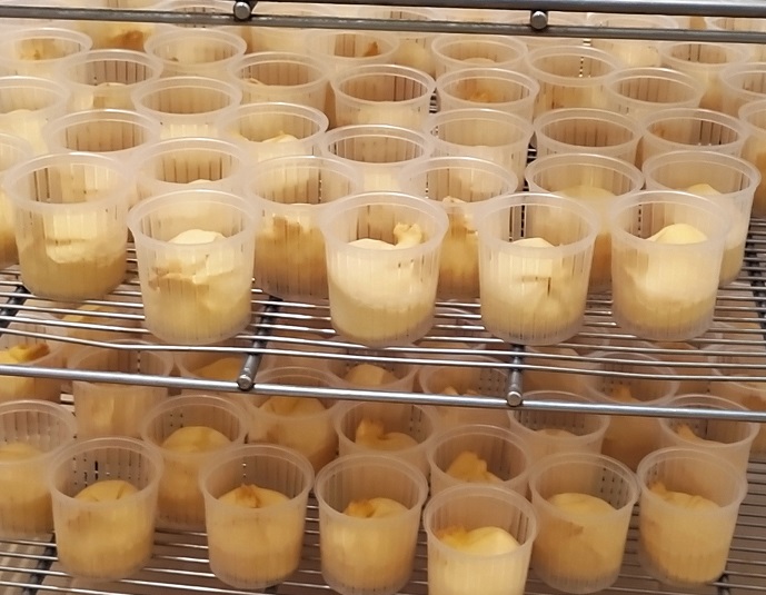 Scamorza, scamorzone, scamorzine, ciambella, silani, schiacciate