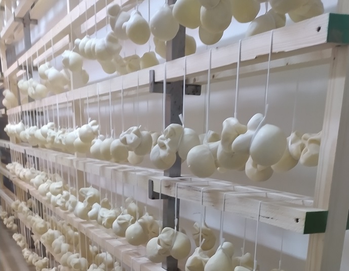 Scamorza, scamorzone, scamorzine, ciambella, silani, schiacciate, treccia dura