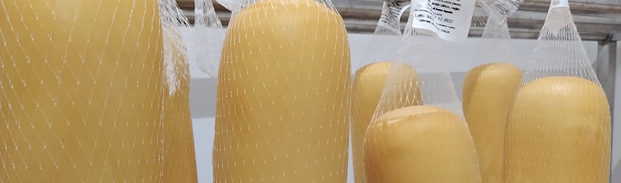 Scamorza, scamorzone, scamorzine, ciambella, silani, galbanini, schiacciate