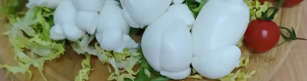 Fior di latte, trecce, treccione, nodi, ciliegine, sfoglia